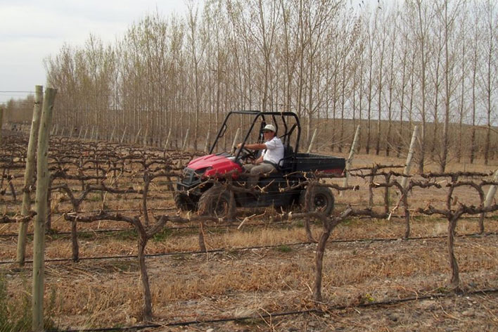 Bodega Fin del Mundo